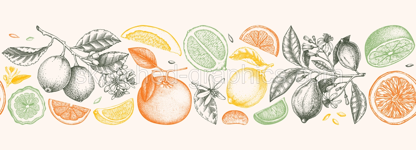 Citrus fruit border design. Seamless pattern. Hand drawn vector illustrations. Healthy food sketches. Engraved summer background. NOT AI generated Illustration